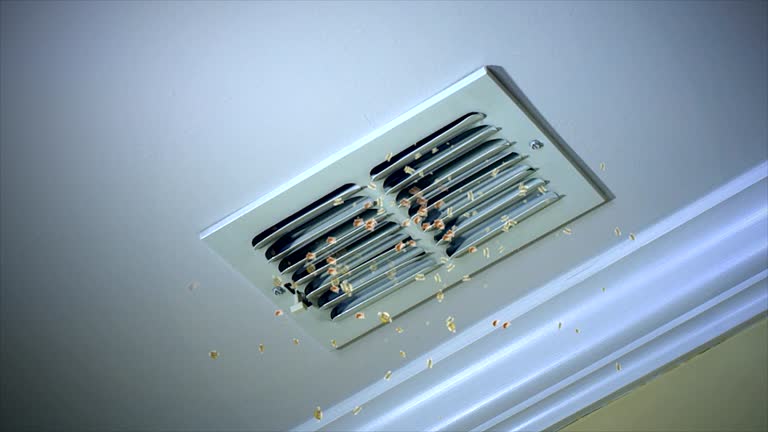 Best Emergency Air Duct Cleaning  in Blasdell, NY