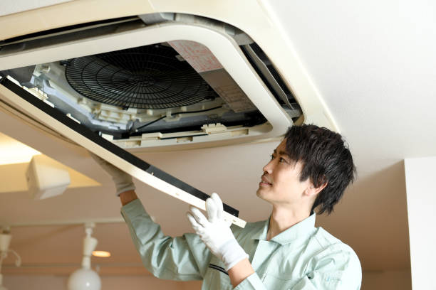 Best HVAC Air Duct Cleaning  in Blasdell, NY